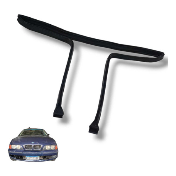 Borracha Churrasqueria Bmw Serie 5 E39 528i 540i 1995 1 Usad