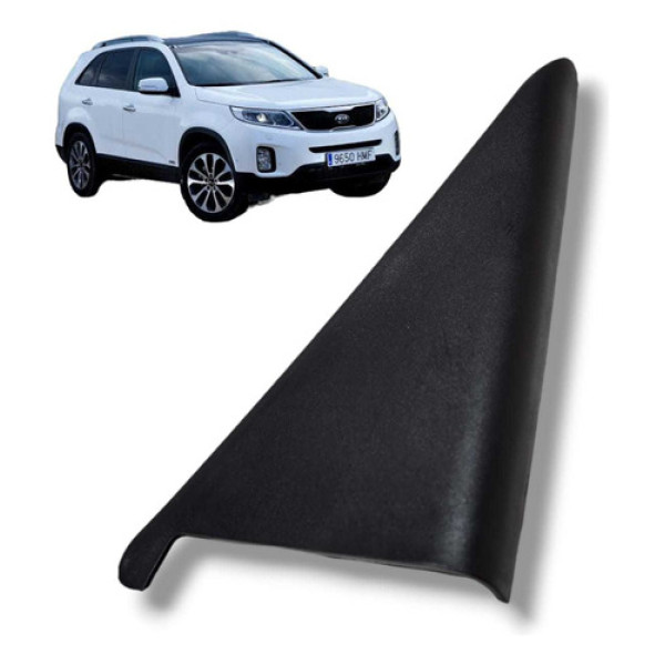 Moldura Interna Porta Tras. Esq. Kia Sorento 2012 83910 Usad