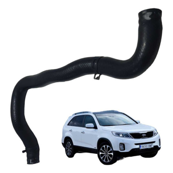 Mangueira Superior Radiador Kia Sorento 2009 2015 Usado