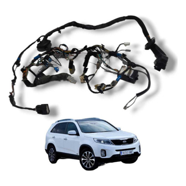 Chicote Porta Dianteira Direita Kia Sorento 2010 Usado