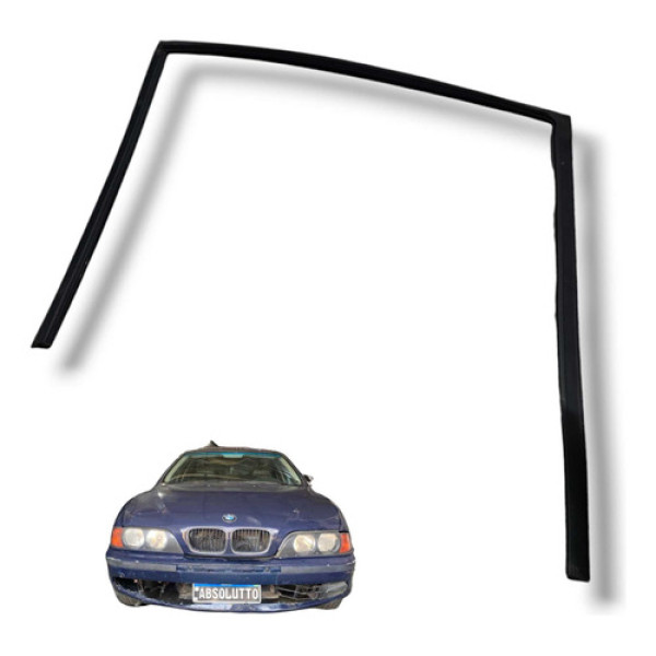 Borracha Porta Traseira  Esquerda Bmw 528i 1995 1999 Usado 
