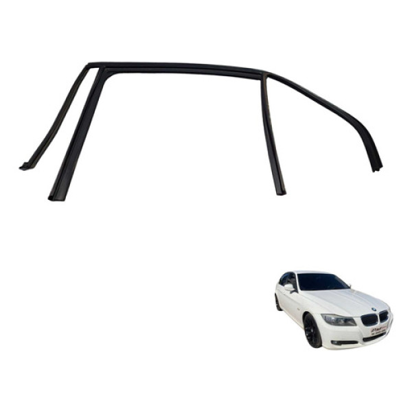 Borracha Caneleta Porta Tras Esq Bmw 320i 2007 2012 Usado
